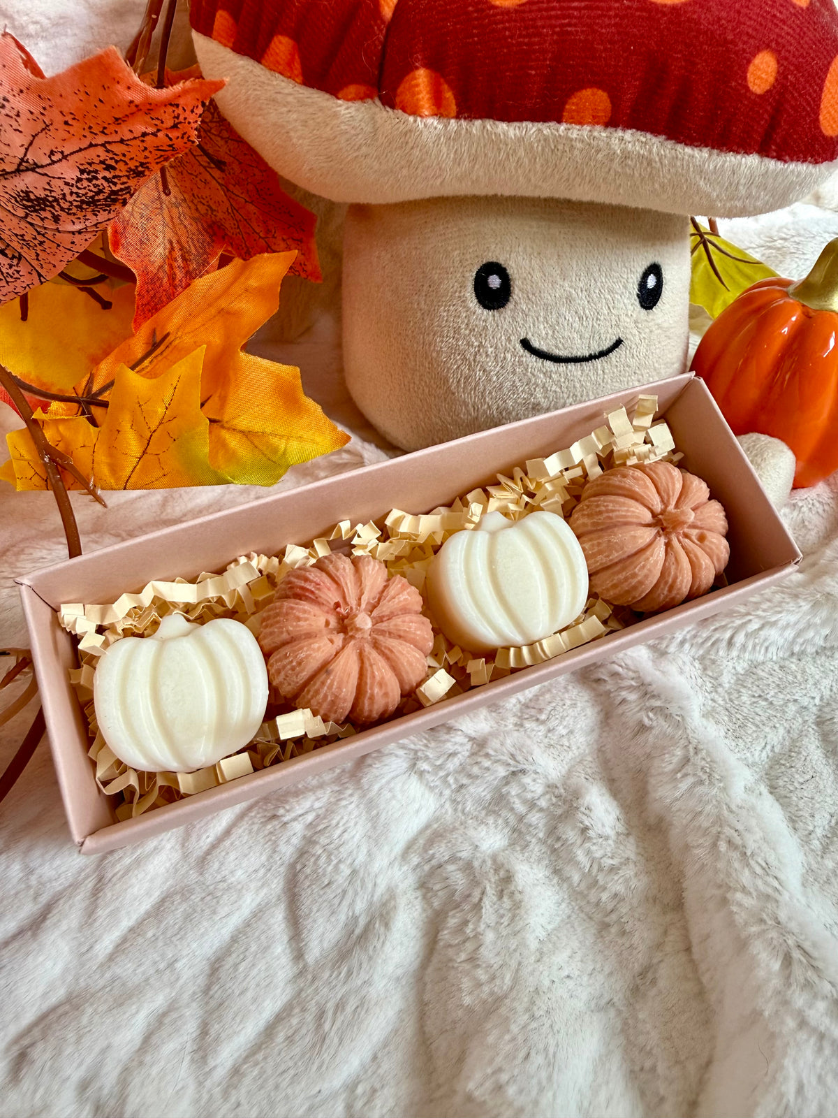 Coffret Citrouilles ParfumĂ©es đ§Ą