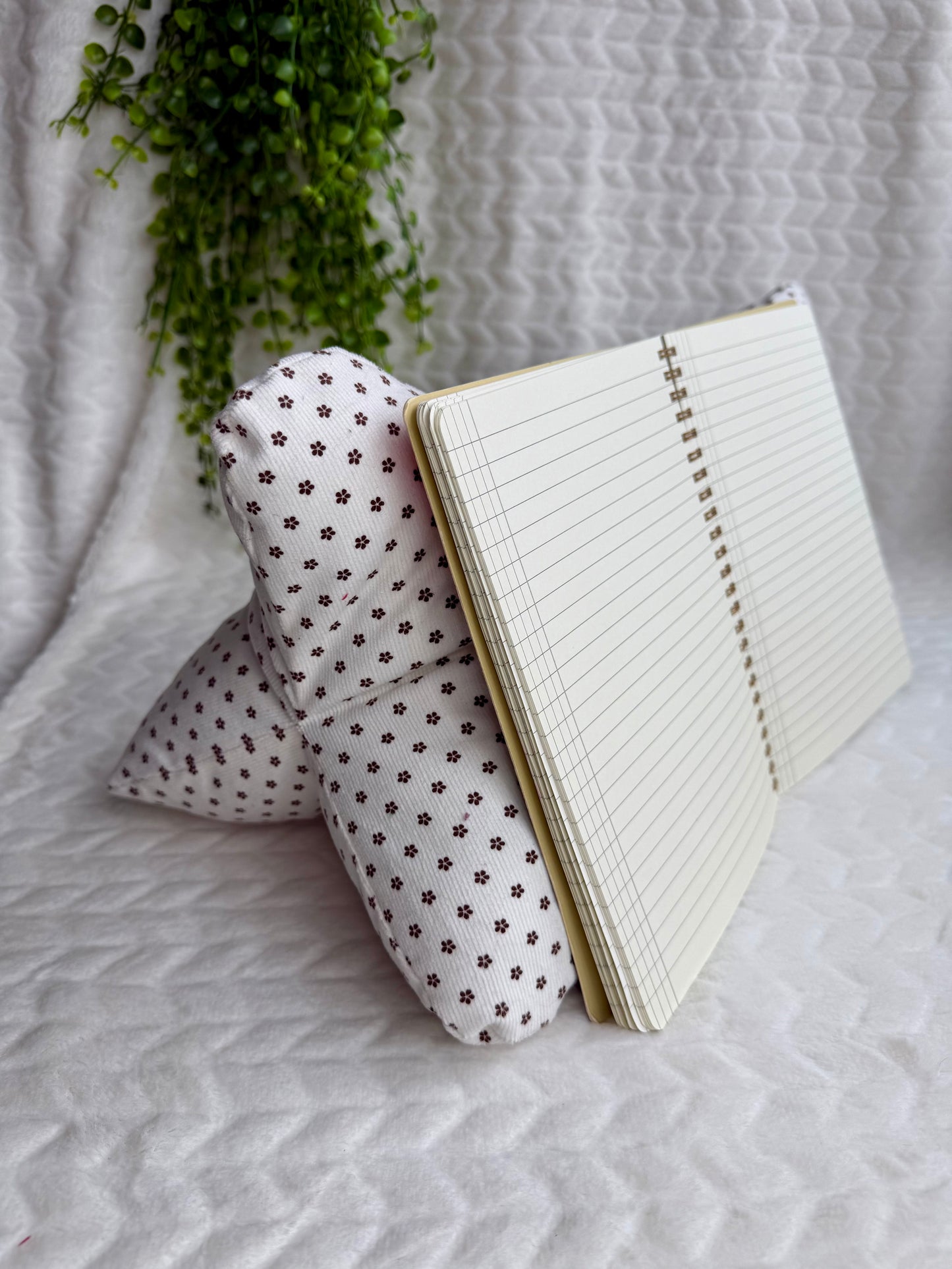 Os de lecture