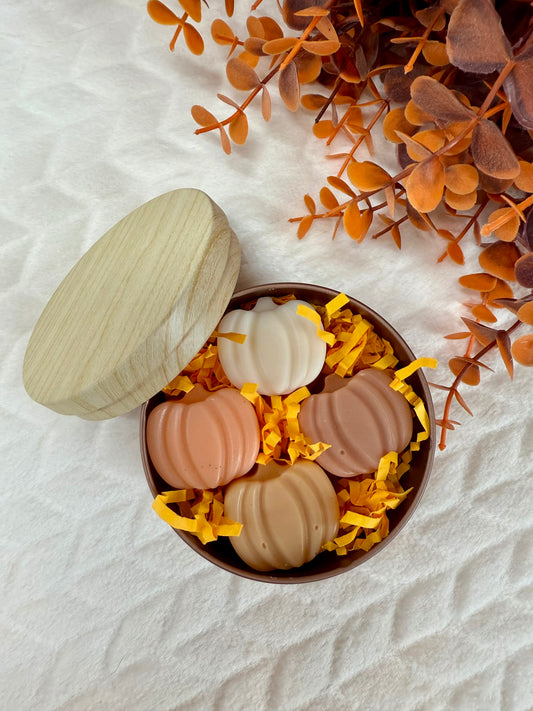 Coffret fondants citrouilles d’automne