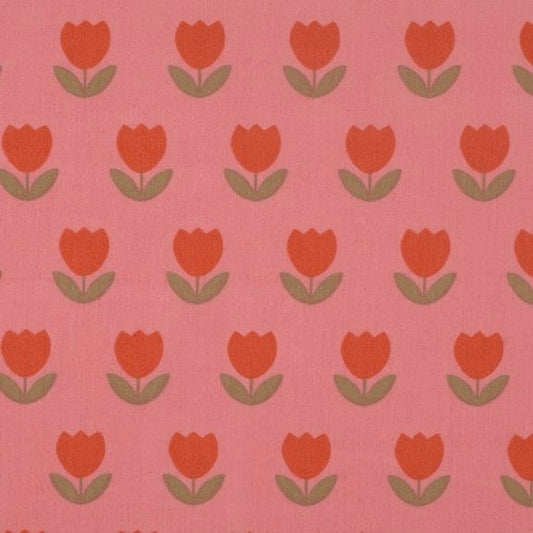 Tulipes