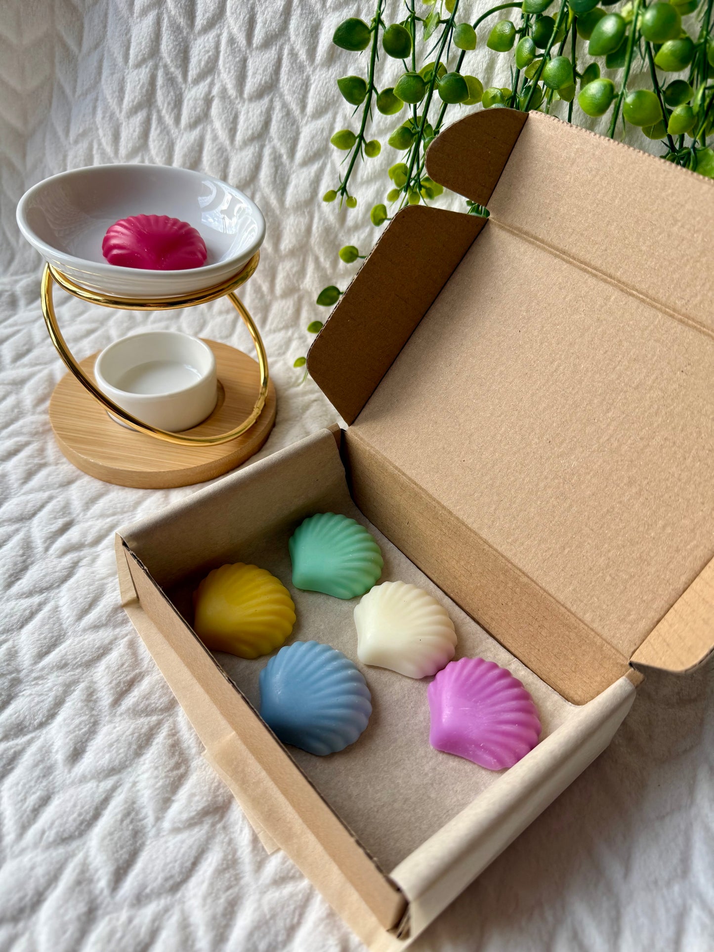 🧺 Coffret « Fraîcheur Intemporelle » 🧺