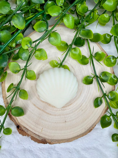Fondant parfumé - Coquillage